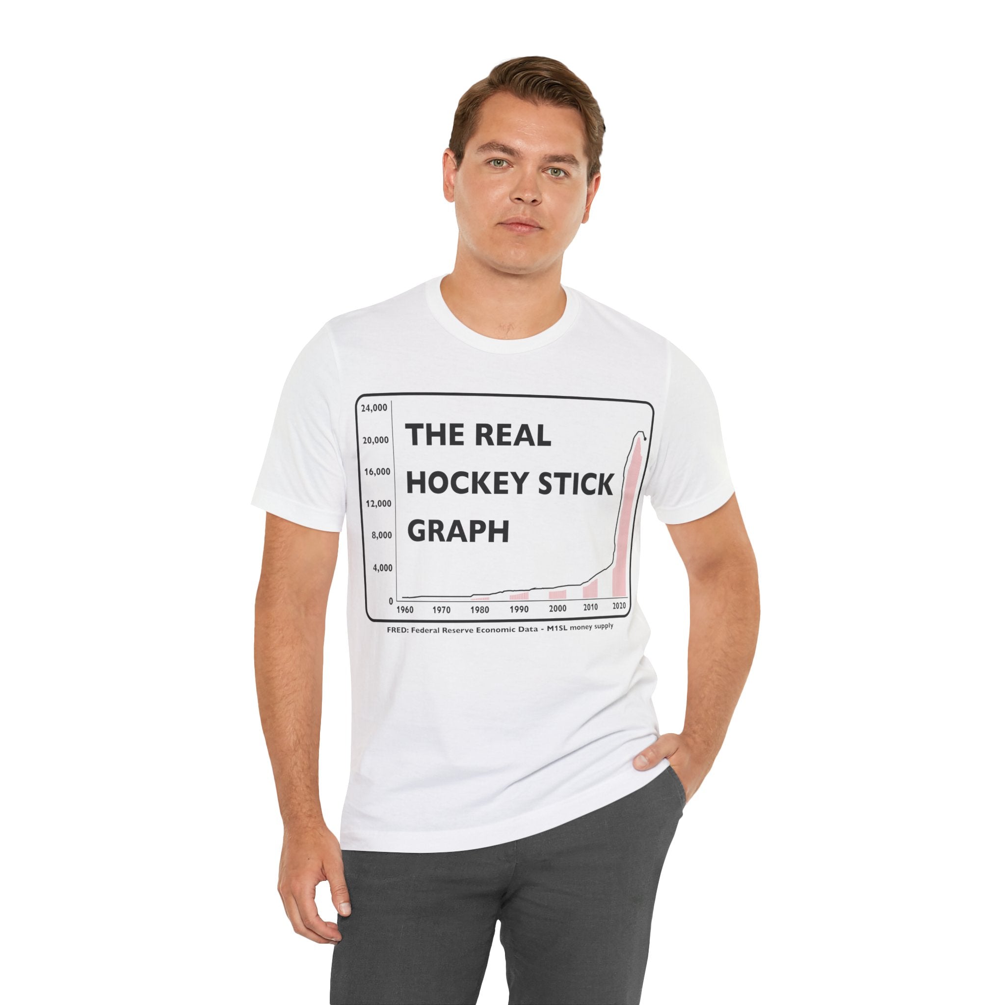 The Real Hockey Stick Graph - M1SL Money Supply